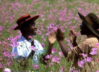 Donne e 8 marzo: il racconto al cinema Whoopi Goldberg ne Il colore viola (1985) di Steven Spielberg