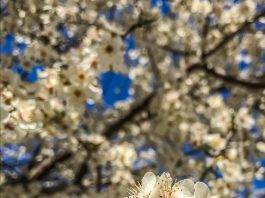 8 Marzo 2020, basta Coronavirus: Donne, parliamo di noi