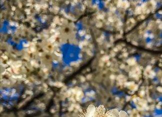 8 Marzo 2020, basta Coronavirus: Donne, parliamo di noi