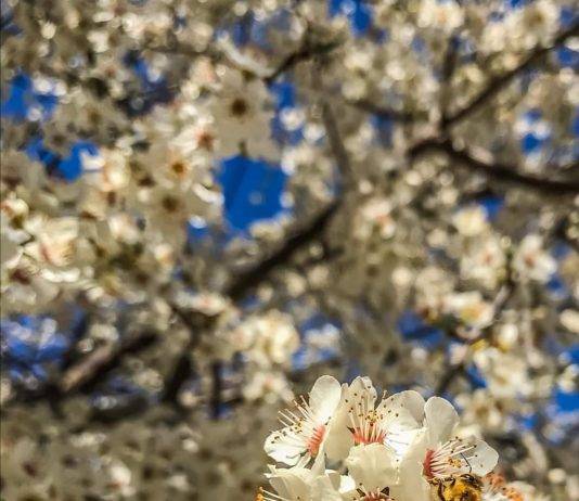 8 Marzo 2020, basta Coronavirus: Donne, parliamo di noi