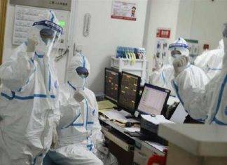 Influenza suina, dieci casi registrati tra Agrigento e Canicattì influenza-suina-contagio