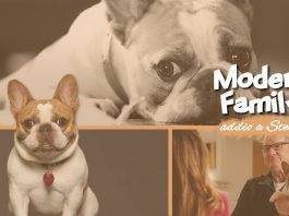 Modern Family: addio al cane Stella