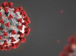 I Dati del Covid-19: Numeri di una Pandemia