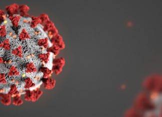I Dati del Covid-19: Numeri di una Pandemia
