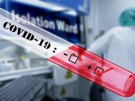 Pandemia di coronavirus: cosa significa e cosa accadrà pandemia covid-9