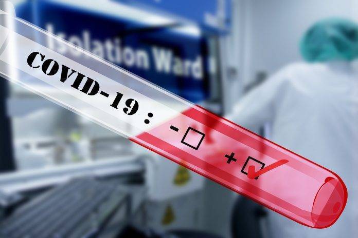 covid-19-4908692_1920 pandemia covid-9