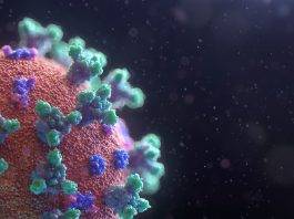Coronavirus: la storia del farmaco Avigan Coronavirus