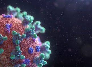 Coronavirus: la storia del farmaco Avigan Coronavirus