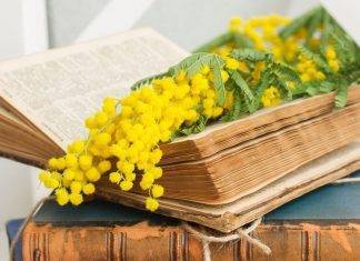 Festa della donna, le frasi e gli auguri più belli da inviare l’8 marzo