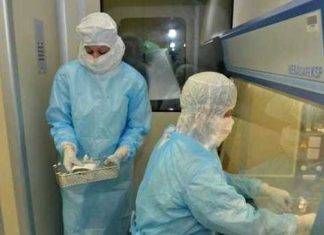 Coronanavirus: approvato il nuovo test di Diasorin