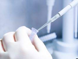 Arriva DiaSorin, il test rapido