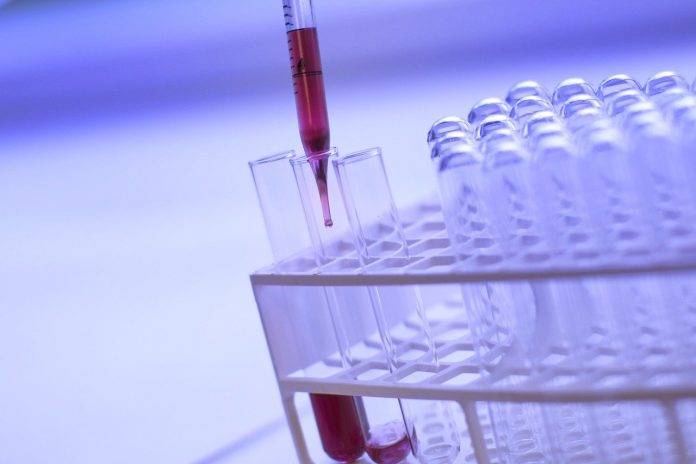 coronavirus test velocissimo