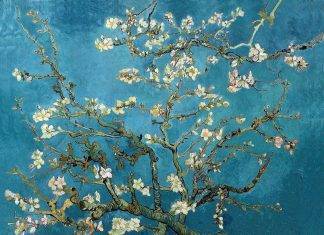 La Primavera fiorisce nei quadri degli impressionisti van-gogh-mandorlo-in-fiore dal web https://www.vangoghmuseum.nl
