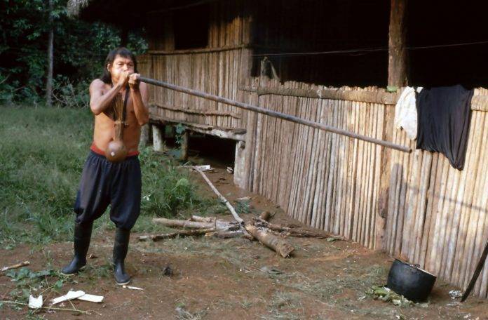 amazzonia
