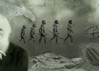 Charles Darwin: il primo che parlò di evoluzione e selezione naturale