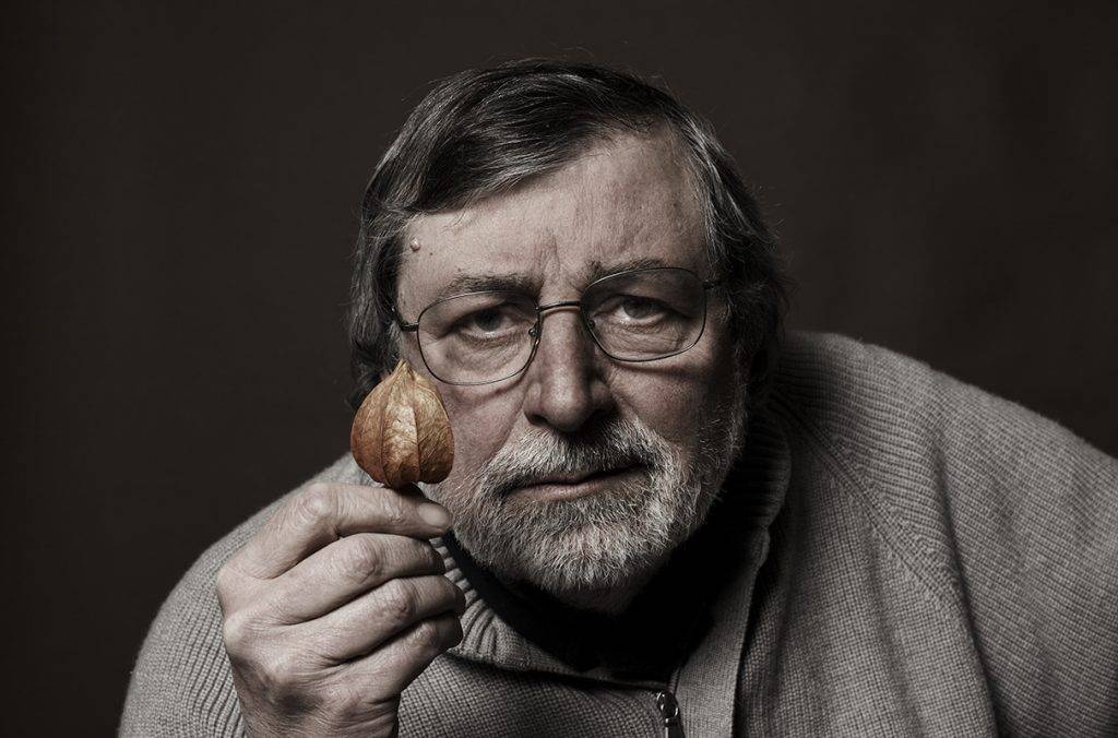 Guccini Meloni