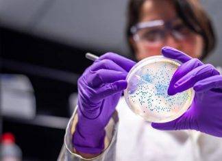 Coronavirus, possibili compromissioni anche di altri organi Photo Credits: www.corriere.it