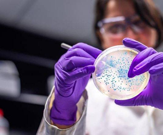Coronavirus, possibili compromissioni anche di altri organi Photo Credits: www.corriere.it