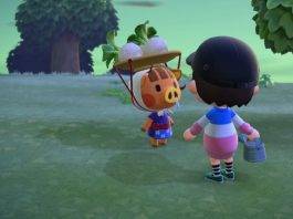 Animal Crossing: New Horizons guida rape