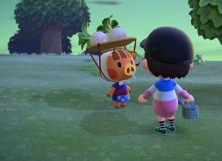 Animal Crossing: New Horizons guida rape