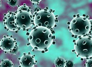 Coronavirus: nuove frontiere nello studio sui recettori del virus Photo Credits: www.ipsos.com