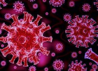 Allarme coronavirus: provoca ictus tra i giovani