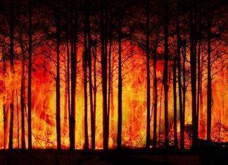 La Thailandia ora deve combattere anche contro gli incendi boschivi incendio foresta thailandia