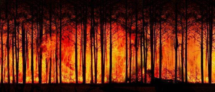 incendio foresta thailandia incendio foresta thailandia