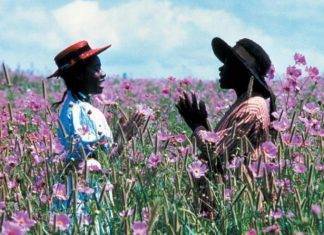 Il colore viola, donne in rinascita Il colore viola - Fonte web