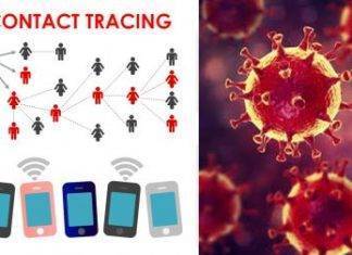 Immuni: l’App scelta per la “nuova vita” della Fase 2