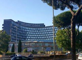 Coronavirus: un vaccino antinfluenzale per la regione Lazio vaccino, fonte it.wikipedia.org