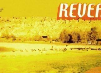 R.E.M., il cambio di direzione con “Reveal” Reveal - R.E.M.