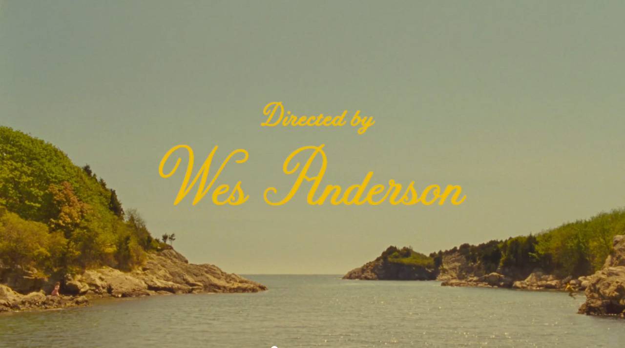 wes anderson mostra - credits: web