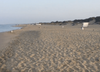 Ostia, pubblicata l’ordinanza per la stagione estiva Spiaggia Ostia (Non Solo Nautica)