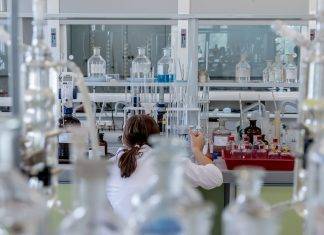 “Polvere” di staminali: il trattamento per i danni ai polmoni da Coronavirus "polvere" di staminali