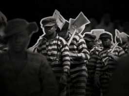 XIII Emendamento, filo rosso tra schiavitù e sistema penitenziario USA 13th - XIII emendamento, Ava DuVernay - Photo Credit: web