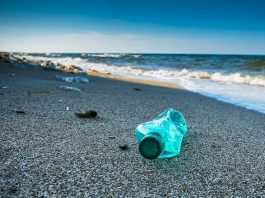 Giornata Mondiale degli Oceani, interagire correttamente con l’ambiente