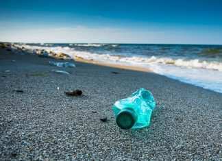 Giornata Mondiale degli Oceani, interagire correttamente con l’ambiente