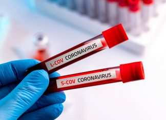Coronavirus, risalgono i contagi in Calabria, zona Rossa a Palmi Coronavirus (Corriere della Calabria)