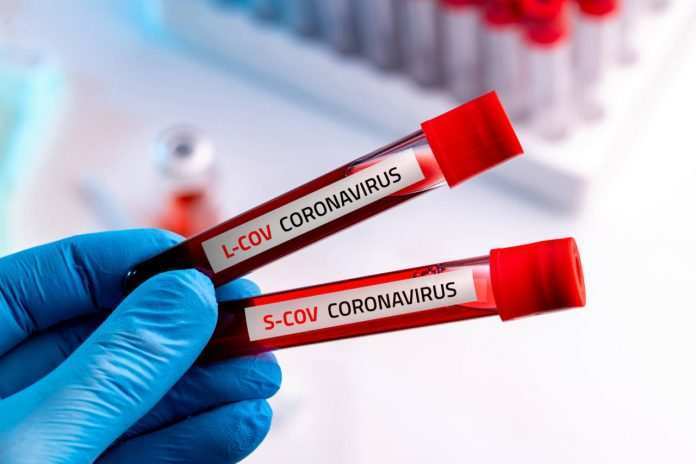 Coronavirus (Corriere della Calabria)