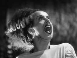 “La Sposa di Frankenstein”, in conferma il remake La Sposa di Frankenstein - Photo Credits: cineblog.it