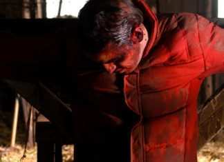 Calvaire: qualcosa di morboso è nell’aria