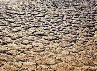 17 Giugno giornata mondiale contro la desertificazione