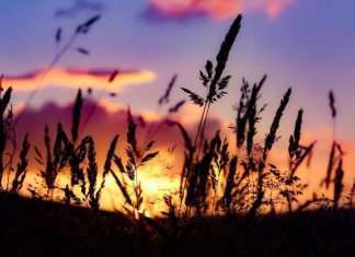 Solstizio d’estate, il giorno più lungo dell’anno: tra miti e leggende