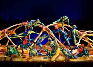 Finisce un’era. Chiude in bancarotta il Cirque du Soleil