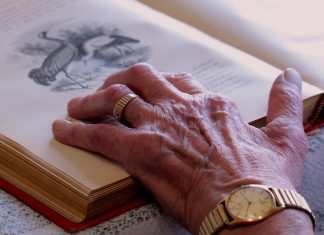 Basta volontariato: anche ai nonni spetta il bonus baby sitter