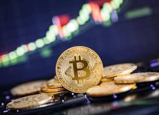 Bitcoin Loophole, fare soldi con il trading è possibile? bitcoin