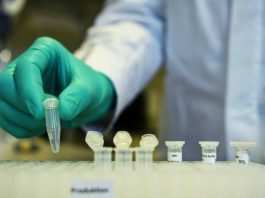 Coronavirus: “Gli anticorpi durano solo un mese, rischio di riammalarsi”