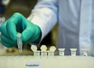 Coronavirus: “Gli anticorpi durano solo un mese, rischio di riammalarsi”