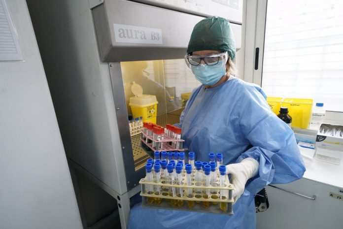 Test sul vaccino anti coronavirus(Agenzia Dire)